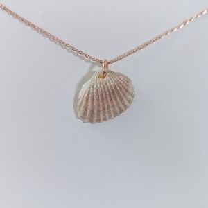 Coastal seashell necklace
